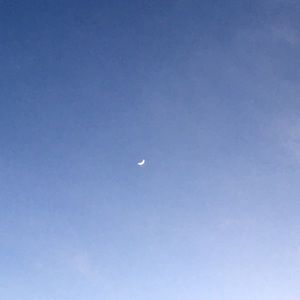 Meet your Posher, Michael javier